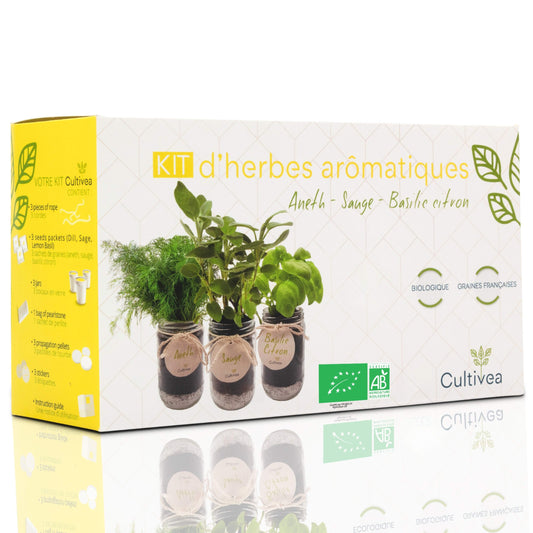 Bio-Kräuter-Set – Gelb (Dill, Salbei, Zitronenbasilikum)*