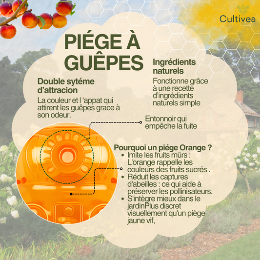 Piège à Guêpes et Frelons Extérieur Réutilisable
