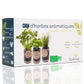 Kit d'herbes aromatiques BIO* - Bleu (Ciboulette, Basilic, Persil)