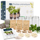 Kit d'herbes aromatiques BIO* - Bleu (Ciboulette, Basilic, Persil)