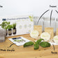 Kit d'herbes aromatiques BIO* - Bleu (Ciboulette, Basilic, Persil)