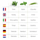Kit d'herbes aromatiques BIO* - Bleu (Ciboulette, Basilic, Persil)