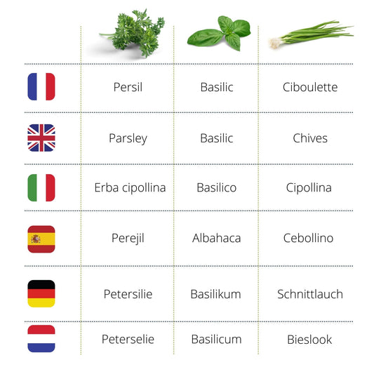 Kit d'herbes aromatiques BIO* - Bleu (Ciboulette, Basilic, Persil)