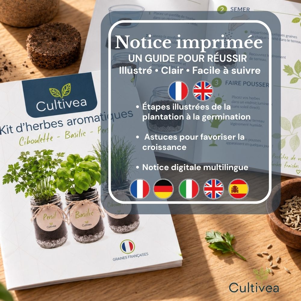 Kit d'herbes aromatiques BIO* - Bleu (Ciboulette, Basilic, Persil)
