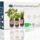 Kit d'herbes aromatiques : basilic, ciboulette, persil 