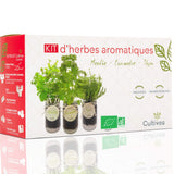 Kit d'herbes aromatiques BIO* - Rouge (Menthe, Coriandre, Thym)