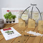 Kit d'herbes aromatiques BIO* - Rouge (Menthe, Coriandre, Thym)