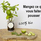 Kit d'herbes aromatiques BIO* - Rouge (Menthe, Coriandre, Thym)
