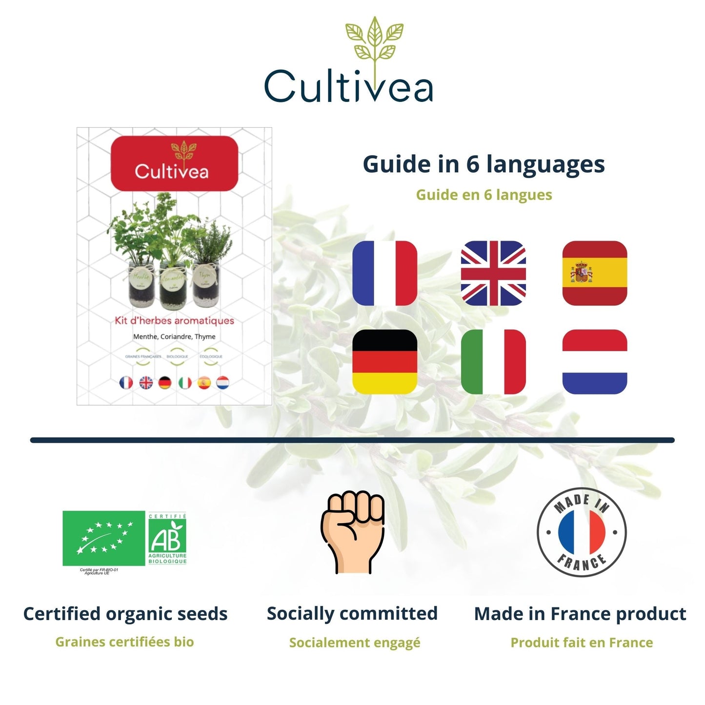 Kit d'herbes aromatiques BIO* - Rouge (Menthe, Coriandre, Thym)