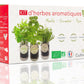 Kit d'herbes aromatiques BIO* - Rouge (Menthe, Coriandre, Thym)