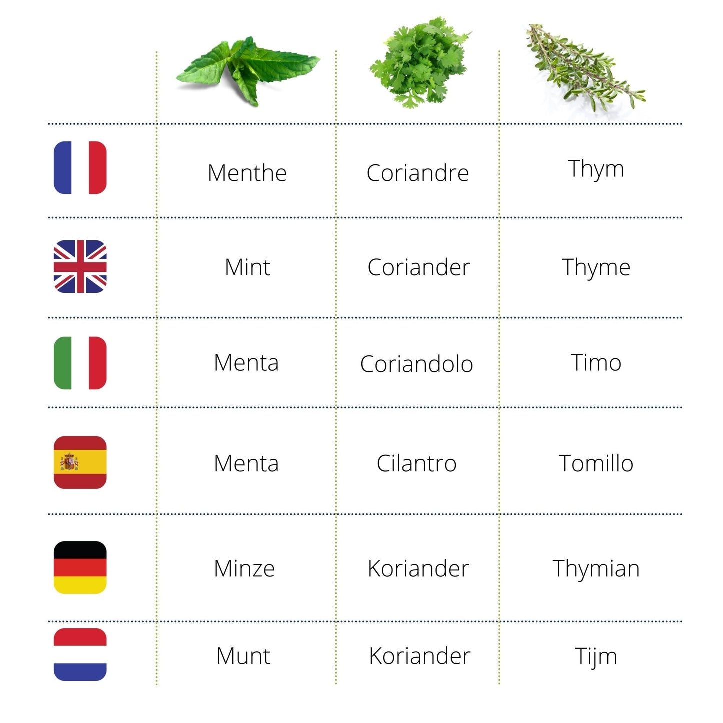 Kit d'herbes aromatiques BIO* - Jaune (Aneth, Sauge, Basilic citron)