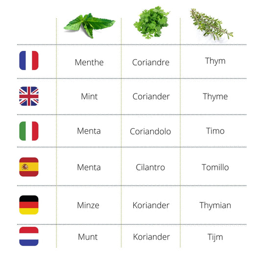 Kit d'herbes aromatiques BIO* - Jaune (Aneth, Sauge, Basilic citron)