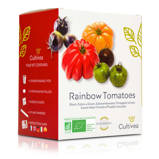 Mini Kit Tomates Arc-en-ciel BIO*