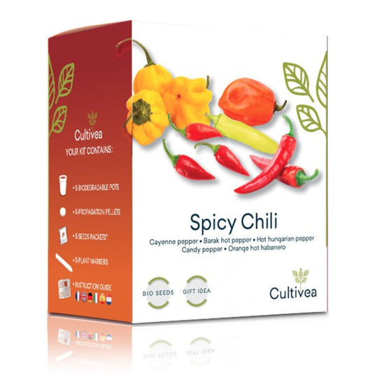 Mini Chili-Anzuchtset BIO* 🌶️