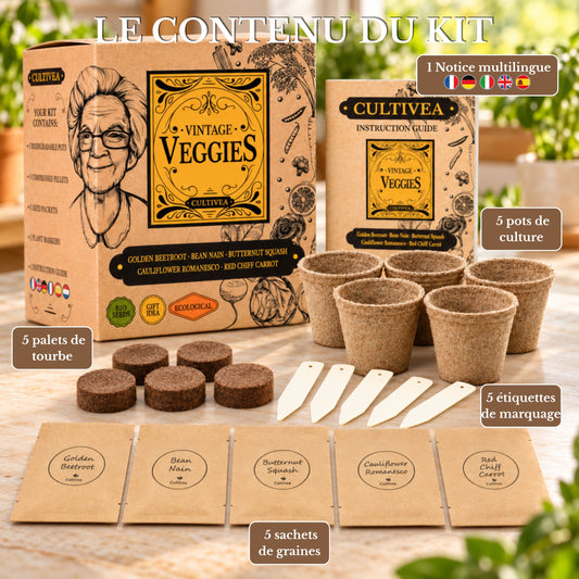 Mini Kit Légumes Vintage BIO*