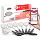 Lot Mini Passoires & Épuisettes pour Fondue Chinoise - Écumoire Friture, Cuillère Bubble Tea, Petite Passoire Cuisine