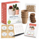 Mini Kit Wild Cactus