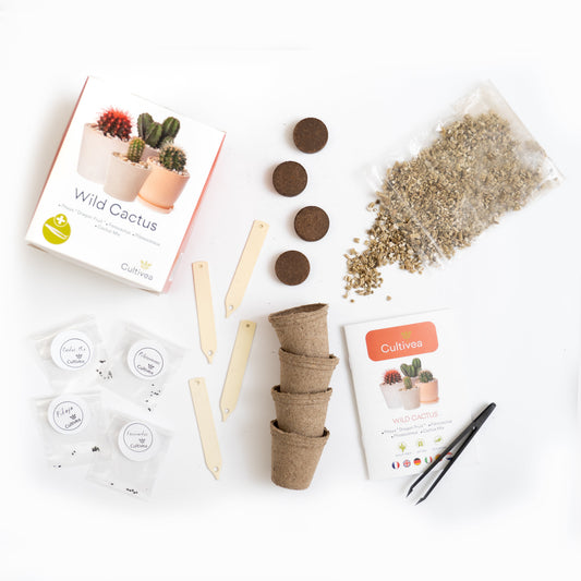 Mini Kit Wild Cactus