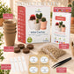 Mini Kit Wild Cactus