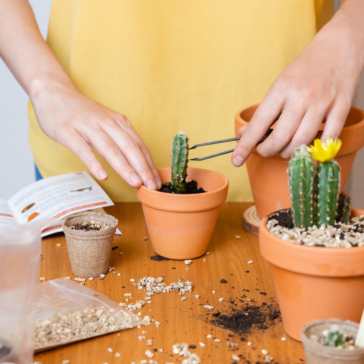 Mini Kit Wild Cactus