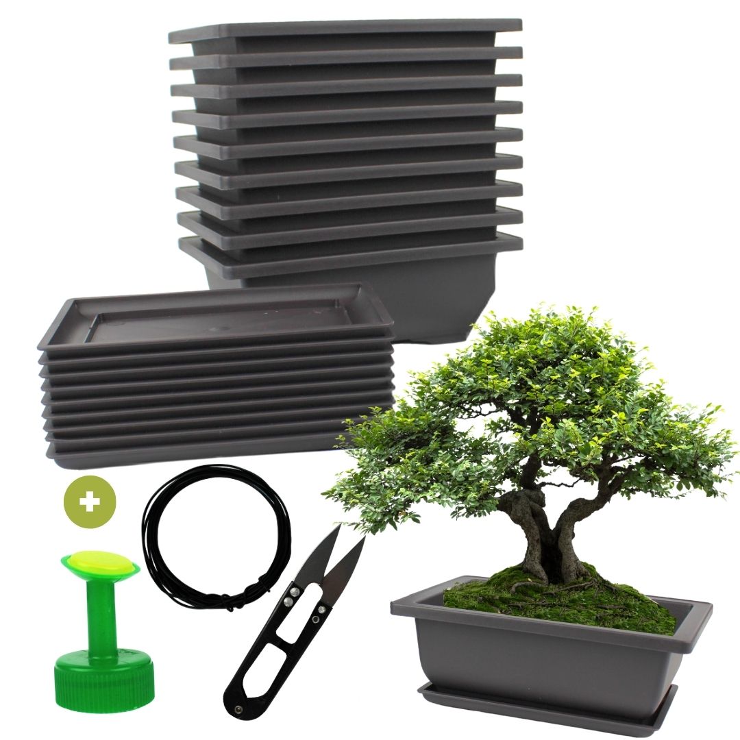 10er Set Bonsai-Töpfe