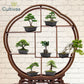 10er Set Bonsai-Töpfe