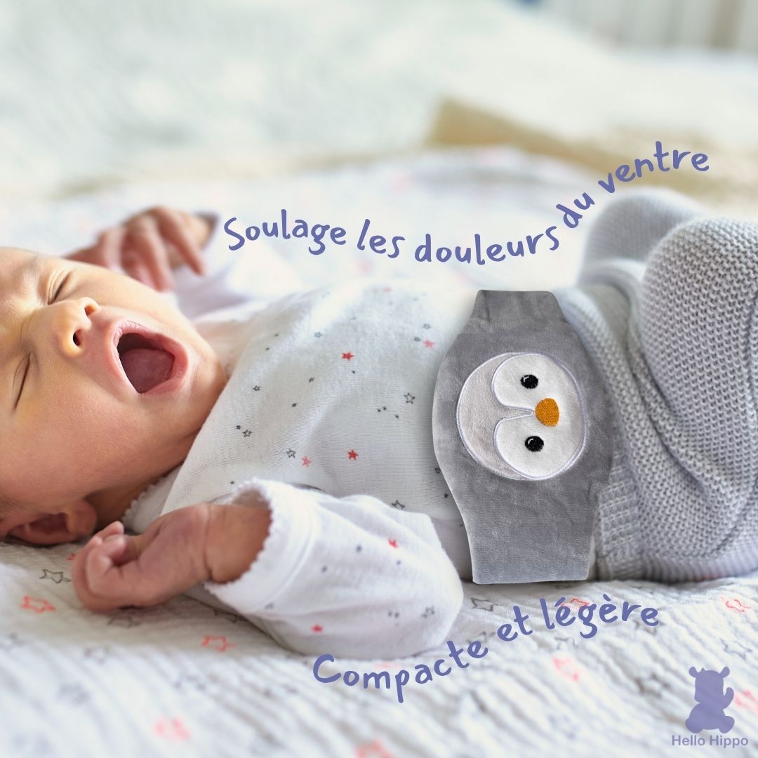 Bouillotte avec ceinture pour bébé - Noyaux de cerise (Pingouin)