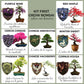 Kit First Bonsai Chinese Arborvitae