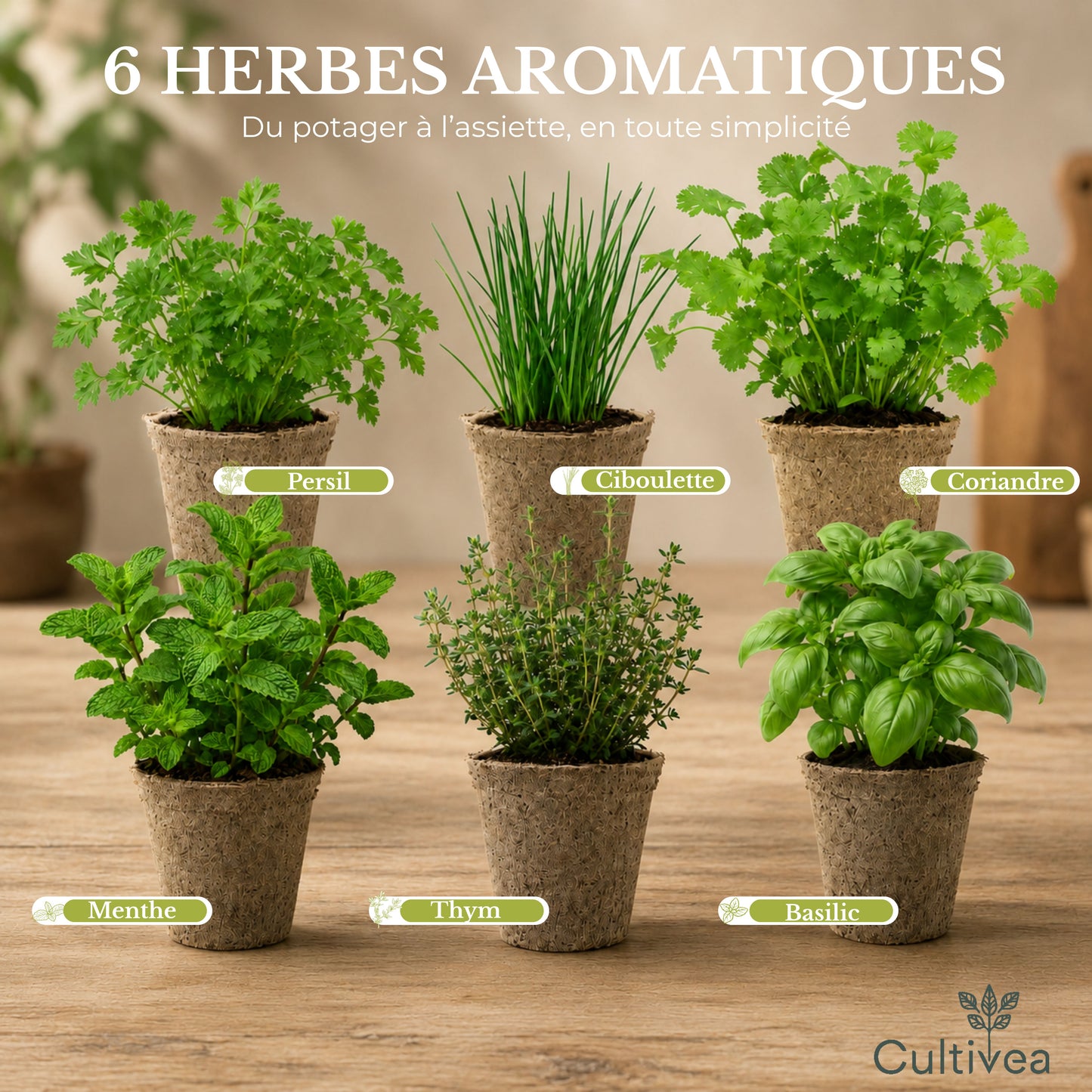 Kit Herbes Aromatiques BIO* Intérieur