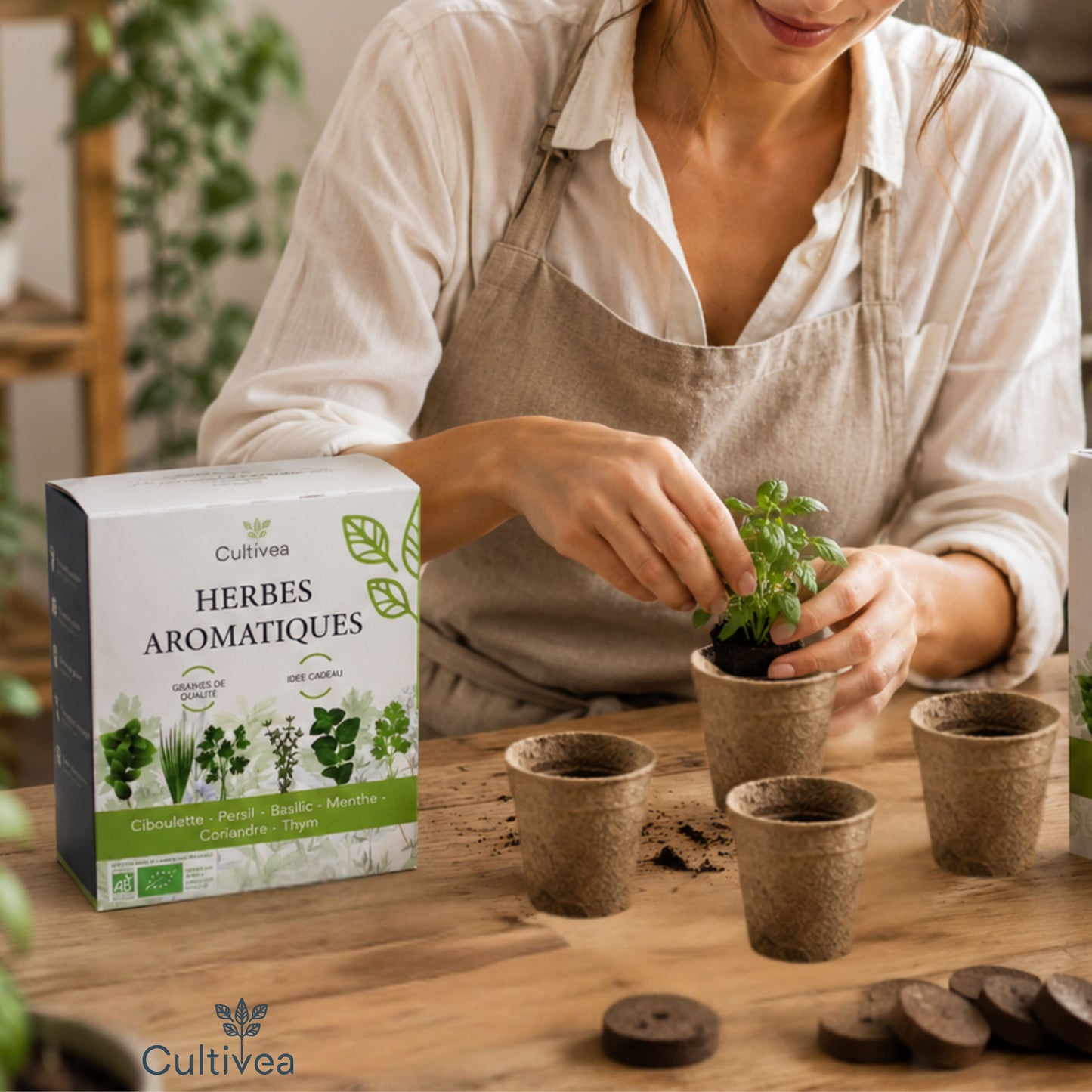 Kit Herbes Aromatiques BIO* Intérieur