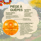 Piège à Guêpes et Frelons Extérieur Réutilisable