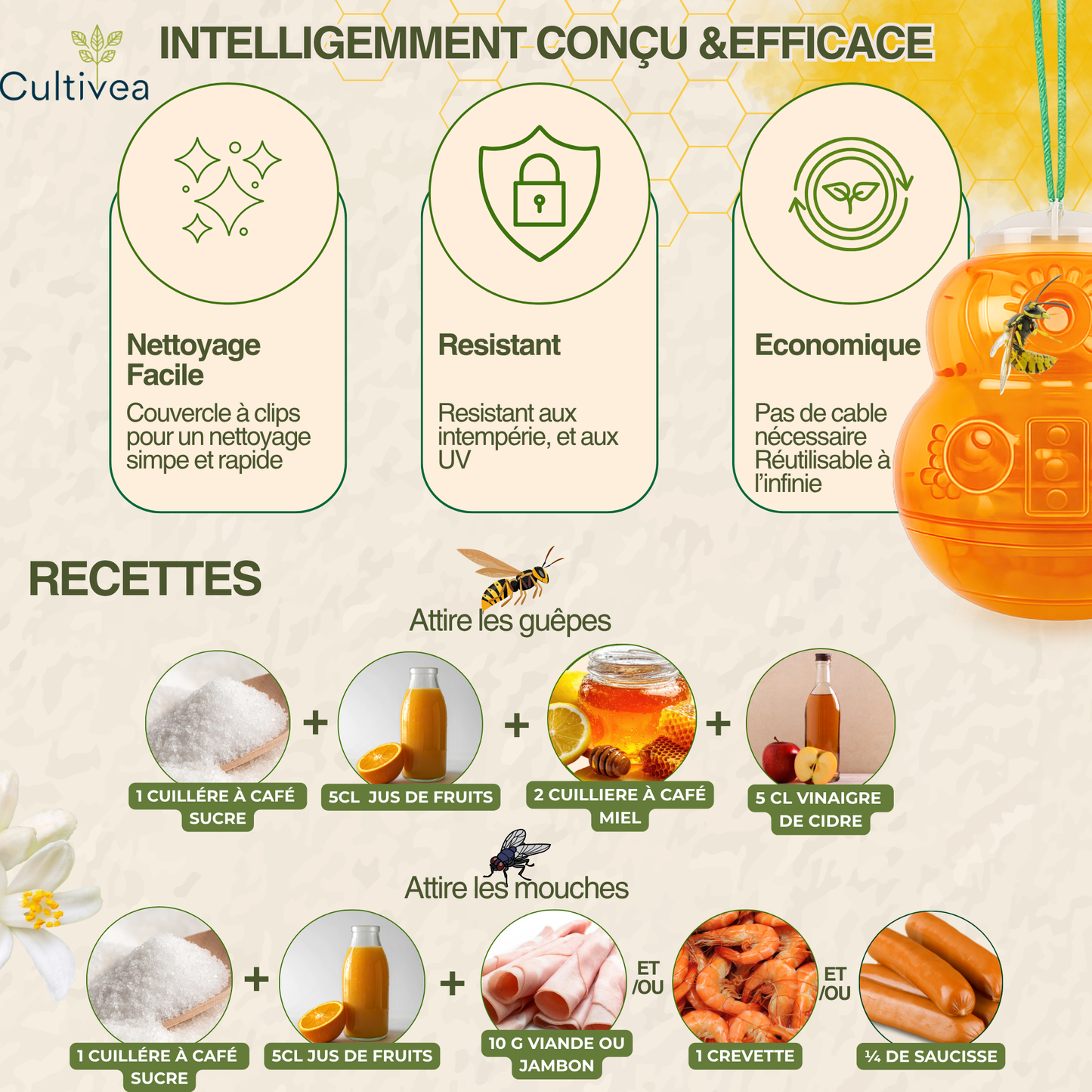 Piège à Guêpes et Frelons Extérieur Réutilisable