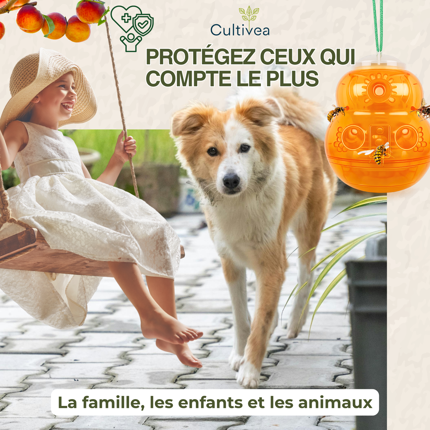 Piège à Guêpes et Frelons Extérieur Réutilisable