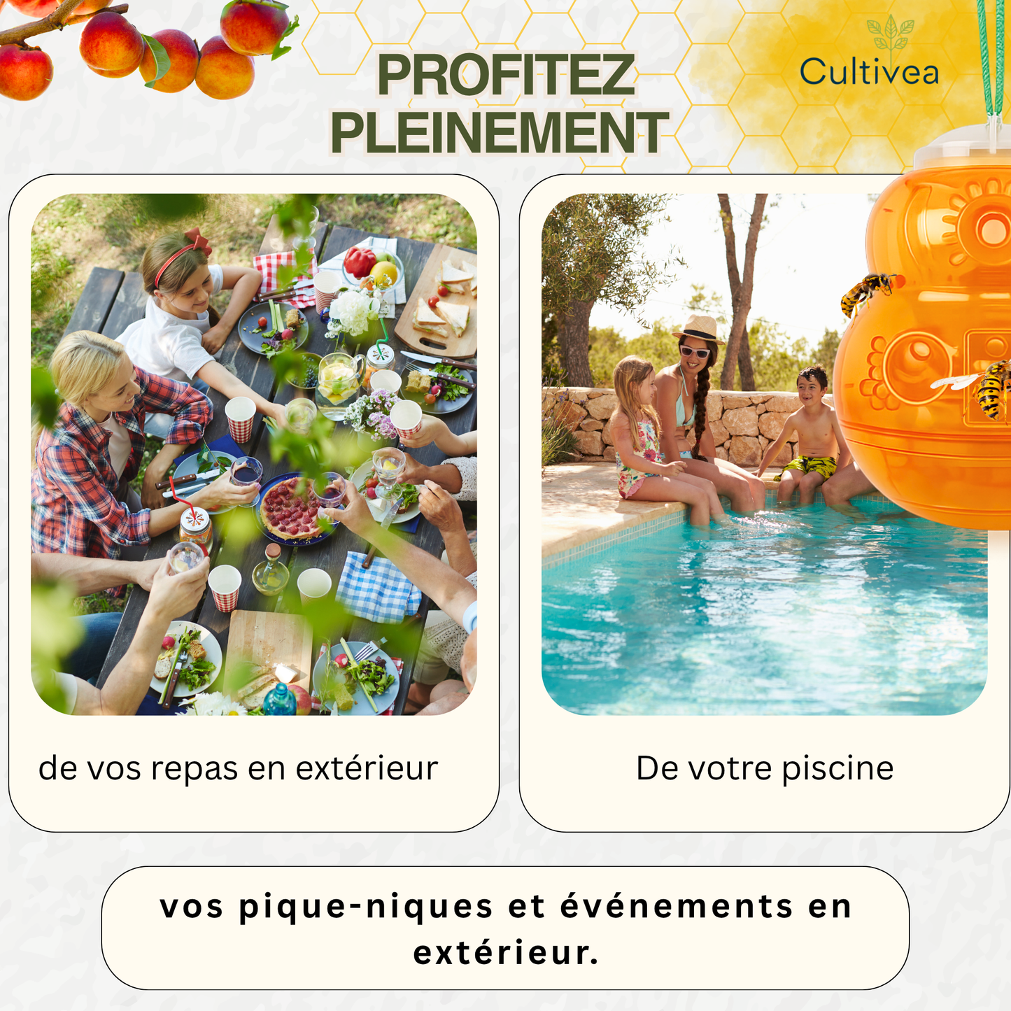 Piège à Guêpes et Frelons Extérieur Réutilisable