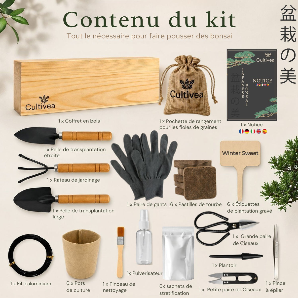 Kit Bonsaï Box Expérience