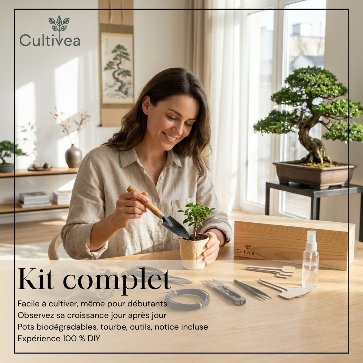 Kit Bonsaï Box Expérience