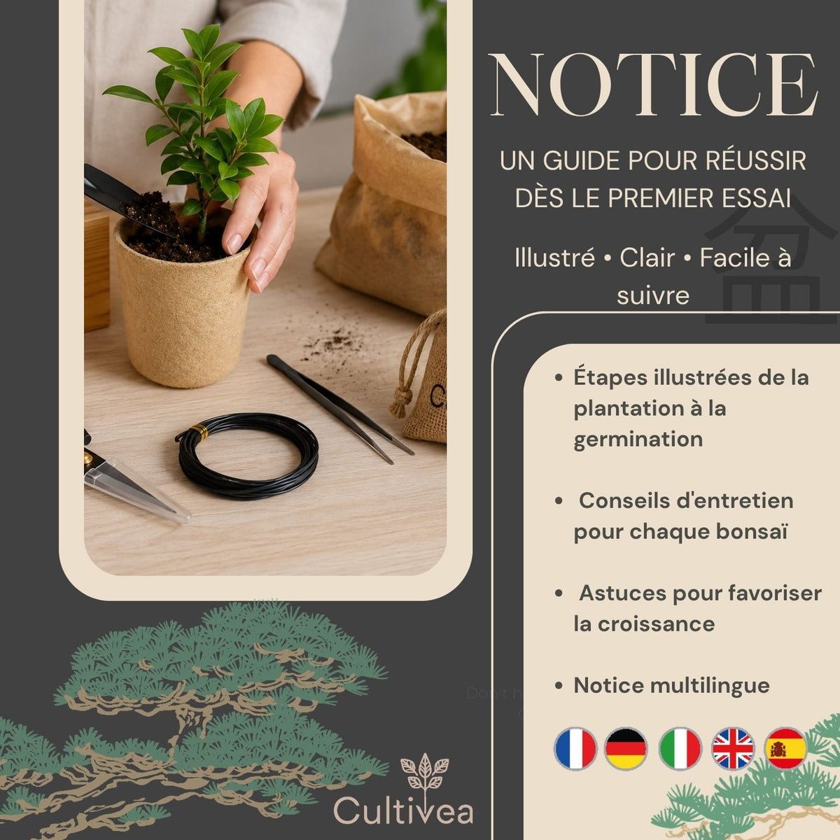 Kit Bonsaï Box Expérience