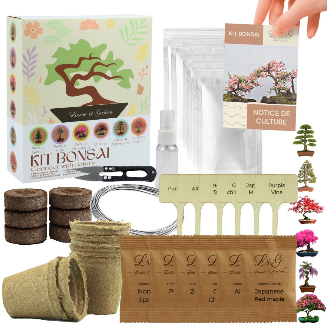 Kit 6 Bonsaï à faire pousser – Idée Cadeau Jardinage