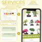 Services que propose Cultivea avec ses kits bonsai 