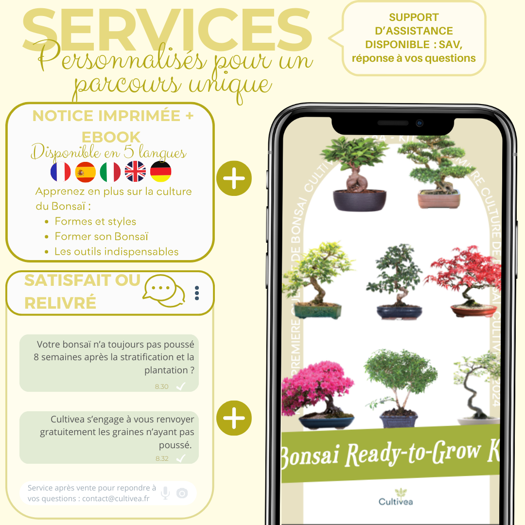 Services que propose Cultivea avec ses kits bonsai 