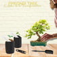Phoenix tree : l'arbre de la transformation